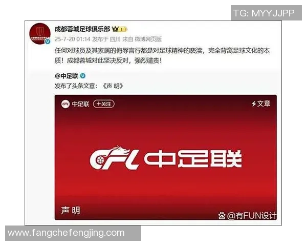足球比赛出线的含义及其对球队和球迷的重要性解析